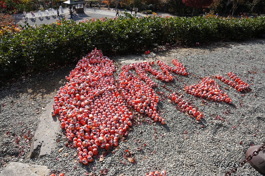 Katsuoji Temple,勝尾寺,勝尾寺怎麼去,勝尾寺門票,大阪交通,大阪自由行,大阪賞楓,季節限定,寺廟巡禮,打卡熱點,拍照景點,旅遊攻略.,日本紅葉,楓葉季,淨化之橋,箕面萱野,絕美楓葉,網美景點,達摩不倒翁,達摩牆,關西賞楓