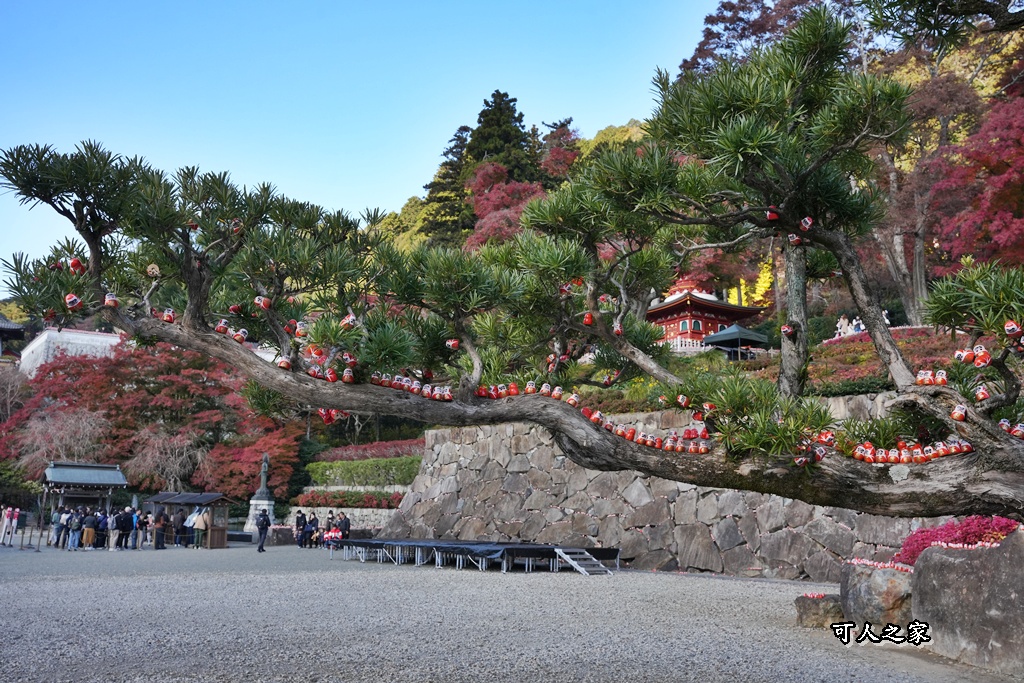 Katsuoji Temple,勝尾寺,勝尾寺怎麼去,勝尾寺門票,大阪交通,大阪自由行,大阪賞楓,季節限定,寺廟巡禮,打卡熱點,拍照景點,旅遊攻略.,日本紅葉,楓葉季,淨化之橋,箕面萱野,絕美楓葉,網美景點,達摩不倒翁,達摩牆,關西賞楓