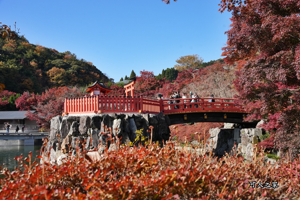 Katsuoji Temple,勝尾寺,勝尾寺怎麼去,勝尾寺門票,大阪交通,大阪自由行,大阪賞楓,季節限定,寺廟巡禮,打卡熱點,拍照景點,旅遊攻略.,日本紅葉,楓葉季,淨化之橋,箕面萱野,絕美楓葉,網美景點,達摩不倒翁,達摩牆,關西賞楓