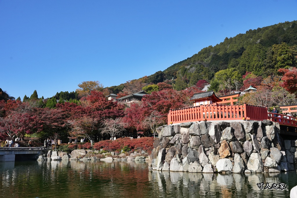 Katsuoji Temple,勝尾寺,勝尾寺怎麼去,勝尾寺門票,大阪交通,大阪自由行,大阪賞楓,季節限定,寺廟巡禮,打卡熱點,拍照景點,旅遊攻略.,日本紅葉,楓葉季,淨化之橋,箕面萱野,絕美楓葉,網美景點,達摩不倒翁,達摩牆,關西賞楓