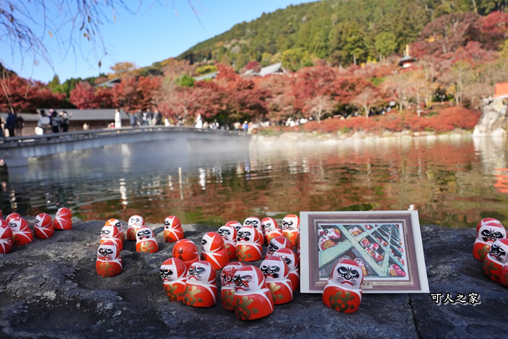 Katsuoji Temple,勝尾寺,勝尾寺怎麼去,勝尾寺門票,大阪交通,大阪自由行,大阪賞楓,季節限定,寺廟巡禮,打卡熱點,拍照景點,旅遊攻略.,日本紅葉,楓葉季,淨化之橋,箕面萱野,絕美楓葉,網美景點,達摩不倒翁,達摩牆,關西賞楓