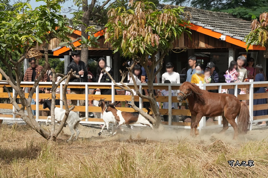 免費入園,動物餵食,地瓜甜點,虎尾一日遊,虎尾景點,虎珍堂森之院,雲林親子