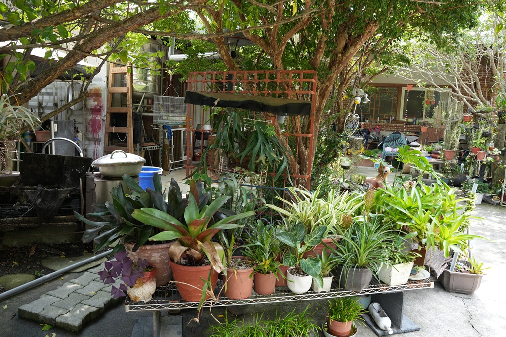 回角咖啡,回角咖啡停車,白色貨櫃屋,苗栗下午茶,苗栗咖啡,苗栗慢活,苗栗拍照景點,苗栗文青,苗栗田野,苗栗秘境咖啡廳,苗栗網美咖啡,苗栗老物