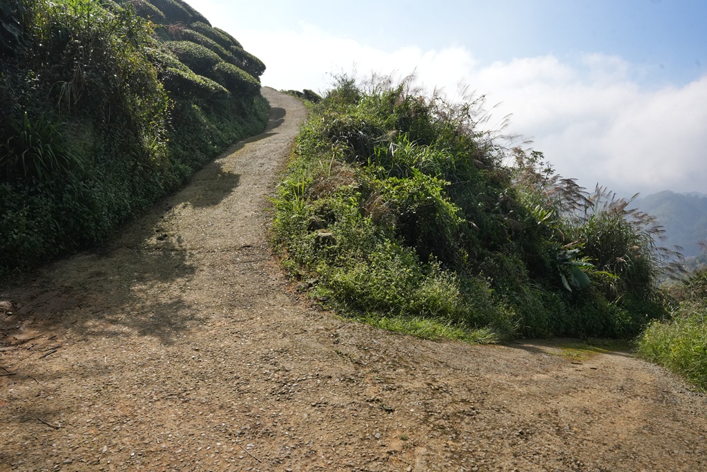嘉義景點,嘉義梅山,太平雲梯,女性登山,小百岳#057,梨子腳山步道,登山步道,絕美山景,輕奢茶園,輕鬆攻頂