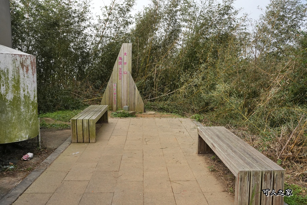 嘉義景點,嘉義梅山,太平雲梯,女性登山,小百岳#057,梨子腳山步道,登山步道,絕美山景,輕奢茶園,輕鬆攻頂