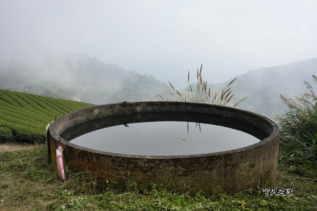 嘉義景點,嘉義梅山,太平雲梯,女性登山,小百岳#057,梨子腳山步道,登山步道,絕美山景,輕奢茶園,輕鬆攻頂