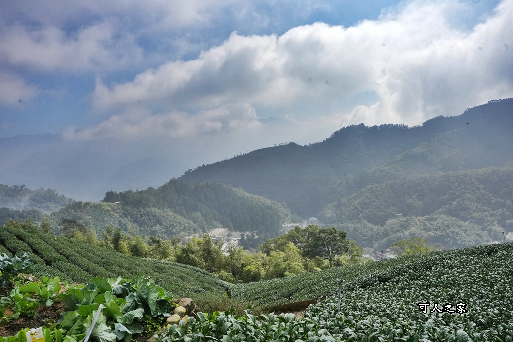 嘉義景點,嘉義梅山,太平雲梯,女性登山,小百岳#057,梨子腳山步道,登山步道,絕美山景,輕奢茶園,輕鬆攻頂
