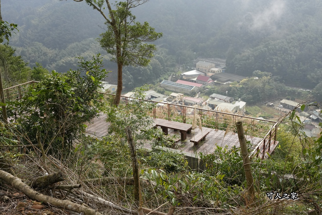 嘉義景點,嘉義梅山,太平雲梯,女性登山,小百岳#057,梨子腳山步道,登山步道,絕美山景,輕奢茶園,輕鬆攻頂