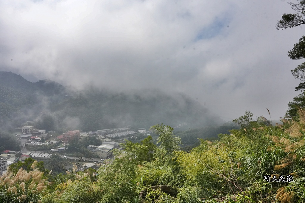 嘉義景點,嘉義梅山,太平雲梯,女性登山,小百岳#057,梨子腳山步道,登山步道,絕美山景,輕奢茶園,輕鬆攻頂