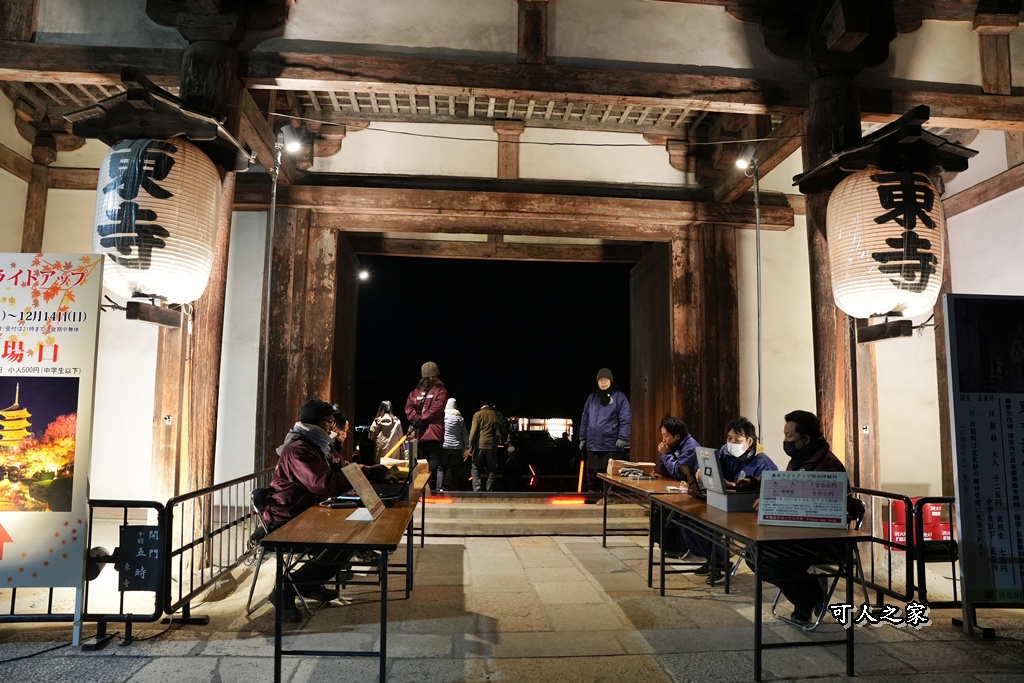 2025京都楓葉,五重塔倒影,京都賞楓,夜間點燈,東寺夜楓,東寺門票,賞楓攻略