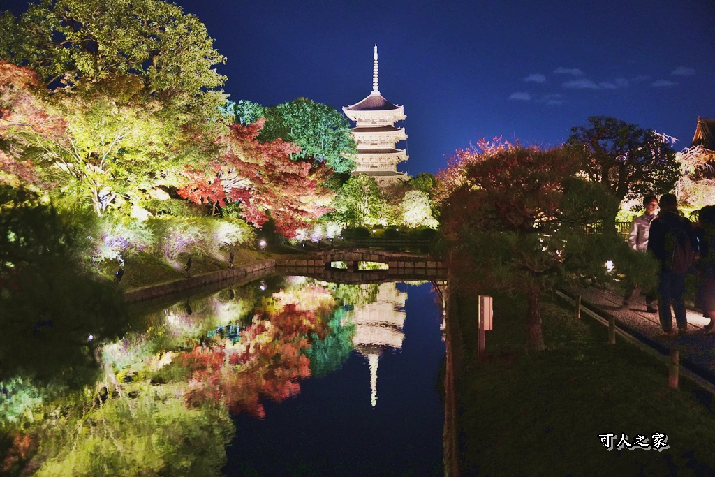 2025京都楓葉,五重塔倒影,京都賞楓,夜間點燈,東寺夜楓,東寺門票,賞楓攻略