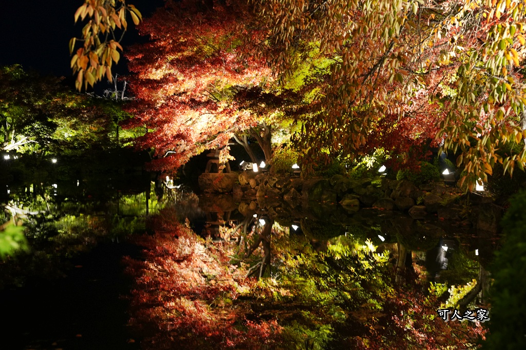 2025京都楓葉,五重塔倒影,京都賞楓,夜間點燈,東寺夜楓,東寺門票,賞楓攻略