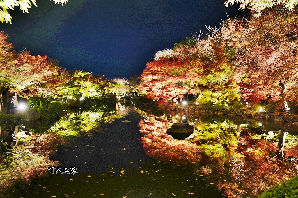 2025京都楓葉,五重塔倒影,京都賞楓,夜間點燈,東寺夜楓,東寺門票,賞楓攻略