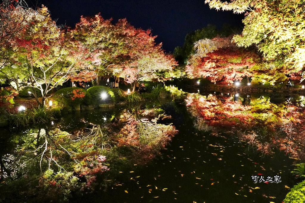 2025京都楓葉,五重塔倒影,京都賞楓,夜間點燈,東寺夜楓,東寺門票,賞楓攻略