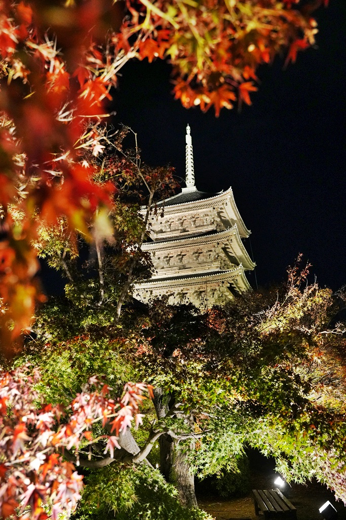 2025京都楓葉,五重塔倒影,京都賞楓,夜間點燈,東寺夜楓,東寺門票,賞楓攻略