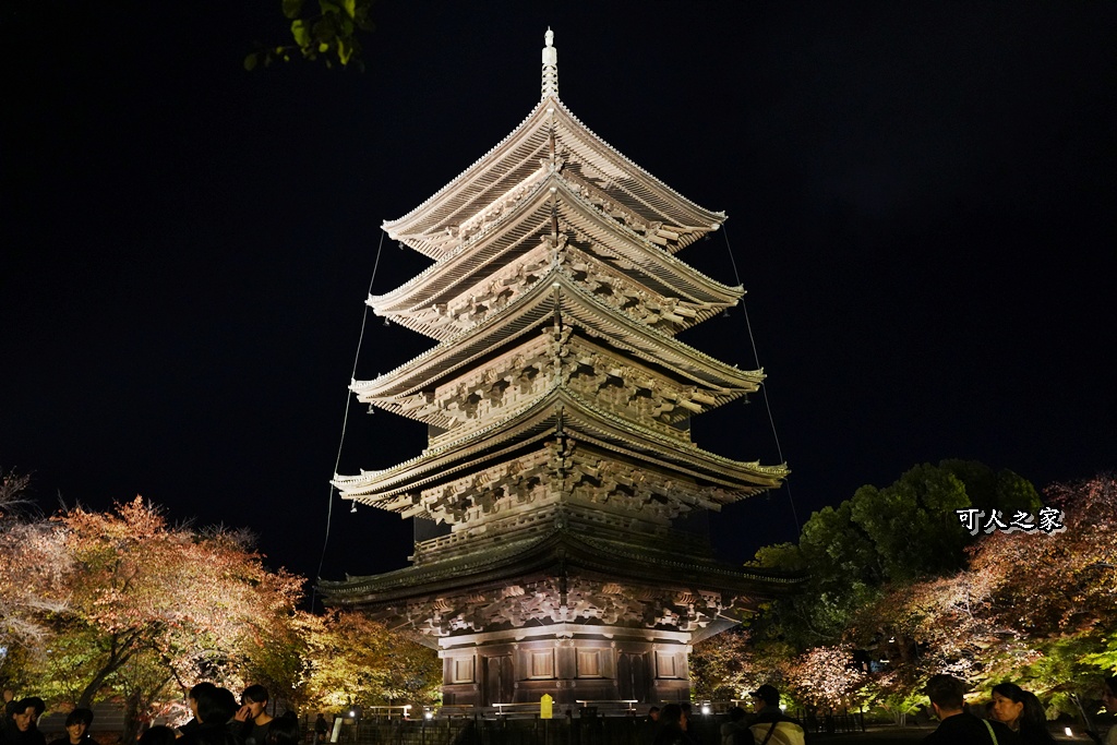 2025京都楓葉,五重塔倒影,京都賞楓,夜間點燈,東寺夜楓,東寺門票,賞楓攻略
