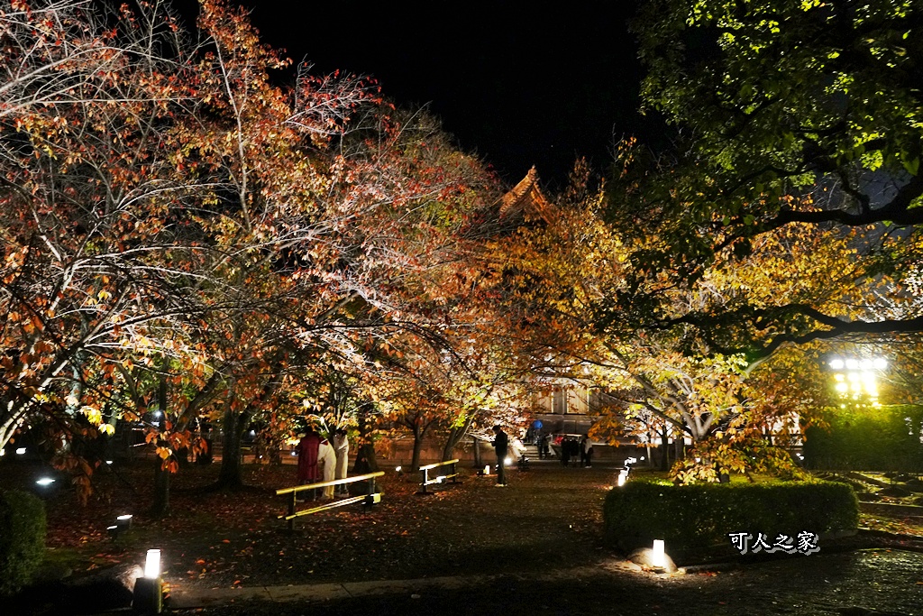2025京都楓葉,五重塔倒影,京都賞楓,夜間點燈,東寺夜楓,東寺門票,賞楓攻略