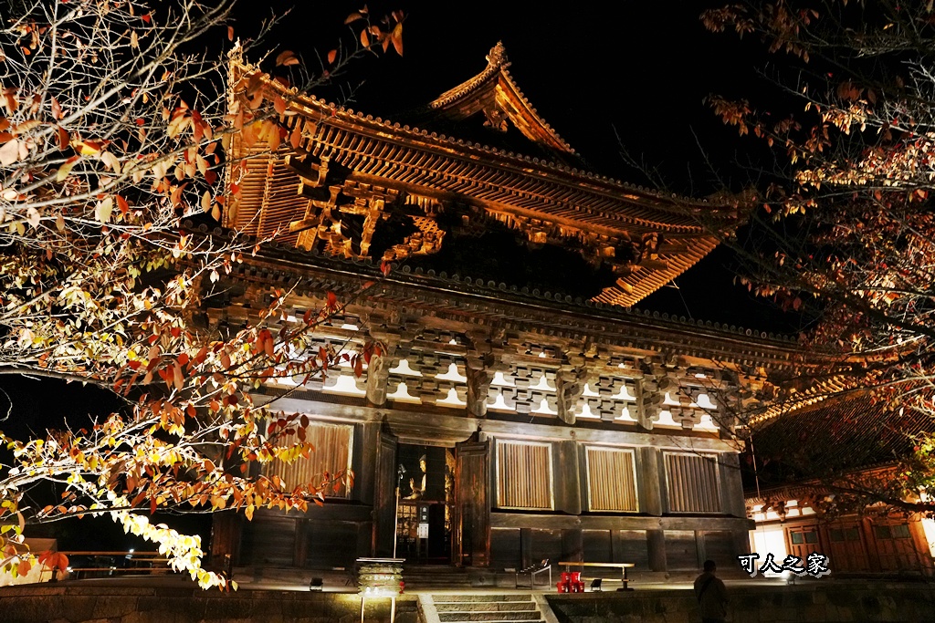 2025京都楓葉,五重塔倒影,京都賞楓,夜間點燈,東寺夜楓,東寺門票,賞楓攻略