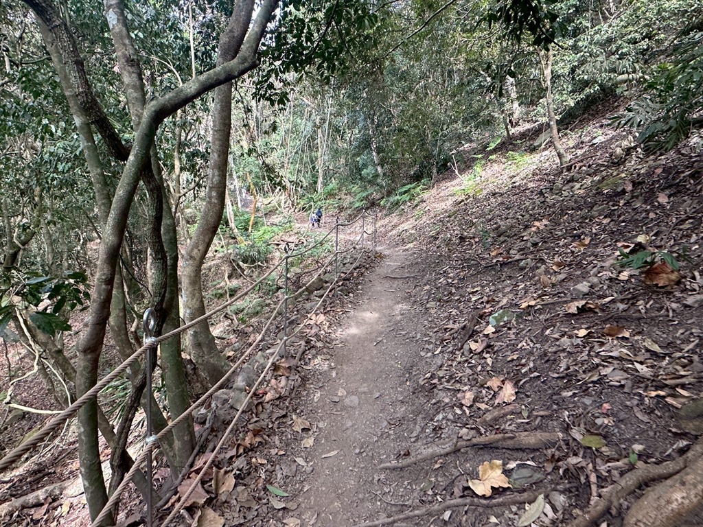 (雪山坑登山步道,O型步道,O型環狀步道,健行,台中和平區,台中景點,台中秘境,和平區景點,山蘇森林,巨人之手,打卡景點,森林秘境,生態步道,石虎吊橋,網美景點,親子同遊,親子步道,輕鬆步道 (雪山坑登山步道,O型步道,O型環狀步道,健行,台中和平區,台中景點,台中秘境,和平區景點,山蘇森林,巨人之手,打卡景點,森林秘境,生態步道,石虎吊橋,網美景點,親子同遊,親子步道,輕鬆步道