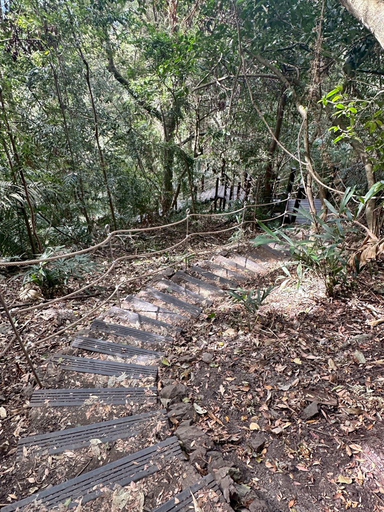(雪山坑登山步道,O型步道,O型環狀步道,健行,台中和平區,台中景點,台中秘境,和平區景點,山蘇森林,巨人之手,打卡景點,森林秘境,生態步道,石虎吊橋,網美景點,親子同遊,親子步道,輕鬆步道 (雪山坑登山步道,O型步道,O型環狀步道,健行,台中和平區,台中景點,台中秘境,和平區景點,山蘇森林,巨人之手,打卡景點,森林秘境,生態步道,石虎吊橋,網美景點,親子同遊,親子步道,輕鬆步道