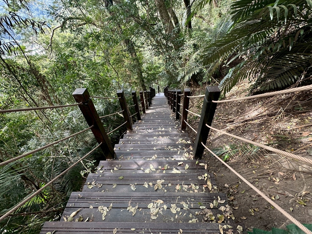 (雪山坑登山步道,O型步道,O型環狀步道,健行,台中和平區,台中景點,台中秘境,和平區景點,山蘇森林,巨人之手,打卡景點,森林秘境,生態步道,石虎吊橋,網美景點,親子同遊,親子步道,輕鬆步道 (雪山坑登山步道,O型步道,O型環狀步道,健行,台中和平區,台中景點,台中秘境,和平區景點,山蘇森林,巨人之手,打卡景點,森林秘境,生態步道,石虎吊橋,網美景點,親子同遊,親子步道,輕鬆步道