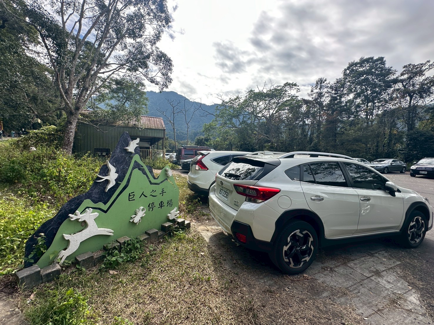 (雪山坑登山步道,O型步道,O型環狀步道,健行,台中和平區,台中景點,台中秘境,和平區景點,山蘇森林,巨人之手,打卡景點,森林秘境,生態步道,石虎吊橋,網美景點,親子同遊,親子步道,輕鬆步道
