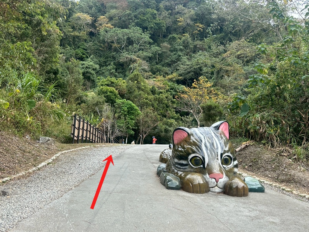 (雪山坑登山步道,O型步道,O型環狀步道,健行,台中和平區,台中景點,台中秘境,和平區景點,山蘇森林,巨人之手,打卡景點,森林秘境,生態步道,石虎吊橋,網美景點,親子同遊,親子步道,輕鬆步道 (雪山坑登山步道,O型步道,O型環狀步道,健行,台中和平區,台中景點,台中秘境,和平區景點,山蘇森林,巨人之手,打卡景點,森林秘境,生態步道,石虎吊橋,網美景點,親子同遊,親子步道,輕鬆步道