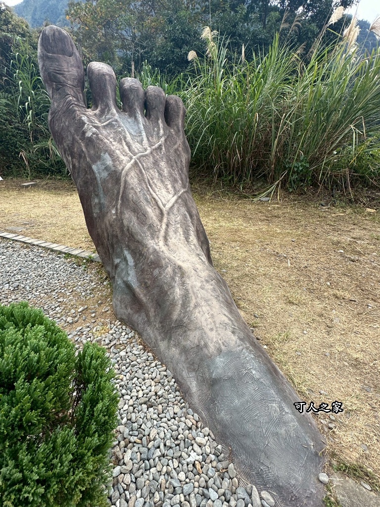 (雪山坑登山步道,O型步道,O型環狀步道,健行,台中和平區,台中景點,台中秘境,和平區景點,山蘇森林,巨人之手,打卡景點,森林秘境,生態步道,石虎吊橋,網美景點,親子同遊,親子步道,輕鬆步道 (雪山坑登山步道,O型步道,O型環狀步道,健行,台中和平區,台中景點,台中秘境,和平區景點,山蘇森林,巨人之手,打卡景點,森林秘境,生態步道,石虎吊橋,網美景點,親子同遊,親子步道,輕鬆步道