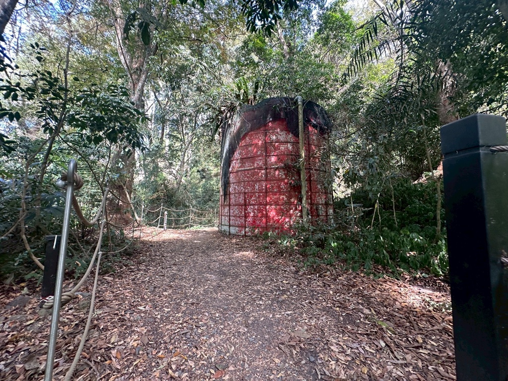 (雪山坑登山步道,O型步道,O型環狀步道,健行,台中和平區,台中景點,台中秘境,和平區景點,山蘇森林,巨人之手,打卡景點,森林秘境,生態步道,石虎吊橋,網美景點,親子同遊,親子步道,輕鬆步道 (雪山坑登山步道,O型步道,O型環狀步道,健行,台中和平區,台中景點,台中秘境,和平區景點,山蘇森林,巨人之手,打卡景點,森林秘境,生態步道,石虎吊橋,網美景點,親子同遊,親子步道,輕鬆步道