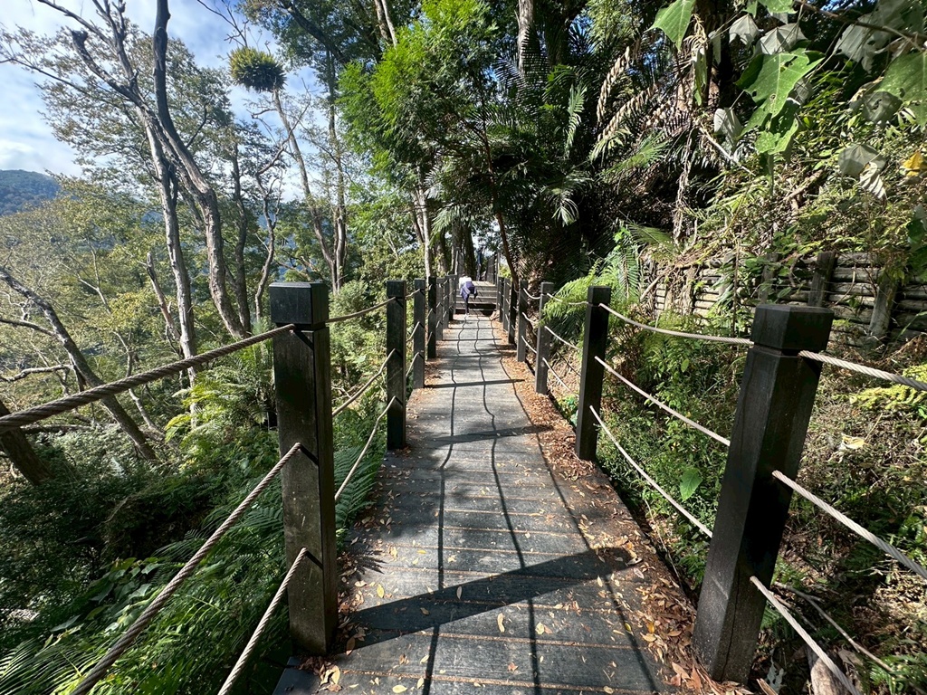 (雪山坑登山步道,O型步道,O型環狀步道,健行,台中和平區,台中景點,台中秘境,和平區景點,山蘇森林,巨人之手,打卡景點,森林秘境,生態步道,石虎吊橋,網美景點,親子同遊,親子步道,輕鬆步道 (雪山坑登山步道,O型步道,O型環狀步道,健行,台中和平區,台中景點,台中秘境,和平區景點,山蘇森林,巨人之手,打卡景點,森林秘境,生態步道,石虎吊橋,網美景點,親子同遊,親子步道,輕鬆步道