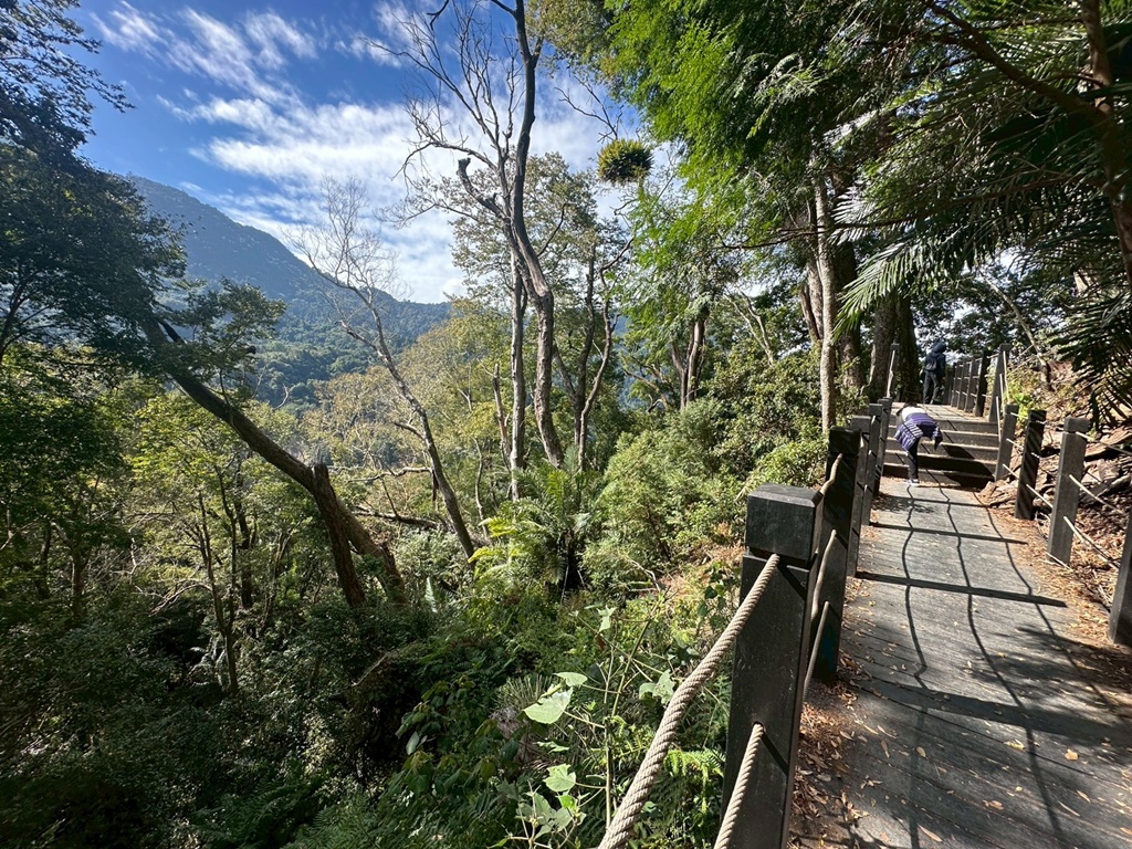 (雪山坑登山步道,O型步道,O型環狀步道,健行,台中和平區,台中景點,台中秘境,和平區景點,山蘇森林,巨人之手,打卡景點,森林秘境,生態步道,石虎吊橋,網美景點,親子同遊,親子步道,輕鬆步道 (雪山坑登山步道,O型步道,O型環狀步道,健行,台中和平區,台中景點,台中秘境,和平區景點,山蘇森林,巨人之手,打卡景點,森林秘境,生態步道,石虎吊橋,網美景點,親子同遊,親子步道,輕鬆步道