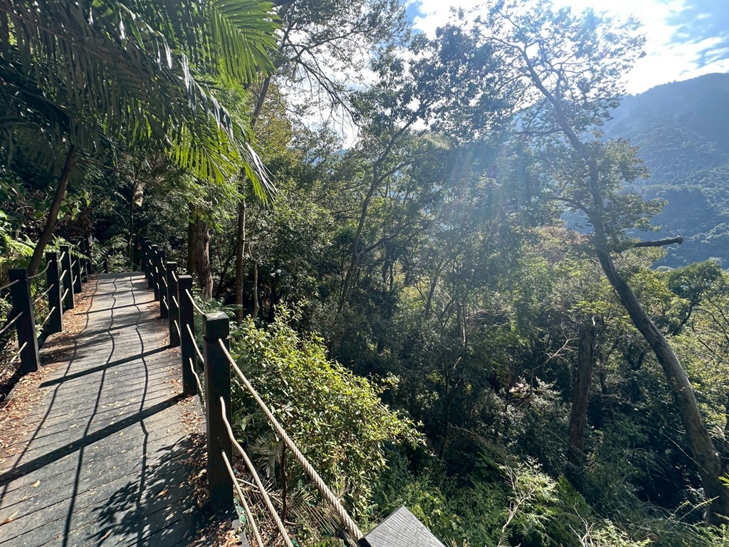 (雪山坑登山步道,O型步道,O型環狀步道,健行,台中和平區,台中景點,台中秘境,和平區景點,山蘇森林,巨人之手,打卡景點,森林秘境,生態步道,石虎吊橋,網美景點,親子同遊,親子步道,輕鬆步道 (雪山坑登山步道,O型步道,O型環狀步道,健行,台中和平區,台中景點,台中秘境,和平區景點,山蘇森林,巨人之手,打卡景點,森林秘境,生態步道,石虎吊橋,網美景點,親子同遊,親子步道,輕鬆步道