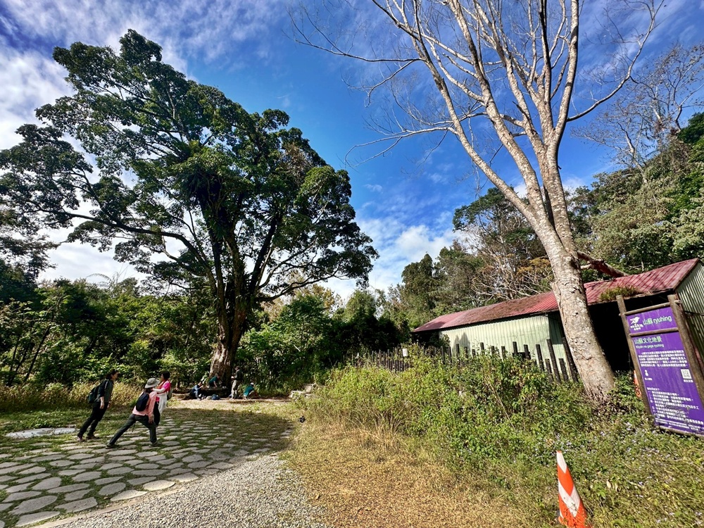 (雪山坑登山步道,O型步道,O型環狀步道,健行,台中和平區,台中景點,台中秘境,和平區景點,山蘇森林,巨人之手,打卡景點,森林秘境,生態步道,石虎吊橋,網美景點,親子同遊,親子步道,輕鬆步道 (雪山坑登山步道,O型步道,O型環狀步道,健行,台中和平區,台中景點,台中秘境,和平區景點,山蘇森林,巨人之手,打卡景點,森林秘境,生態步道,石虎吊橋,網美景點,親子同遊,親子步道,輕鬆步道