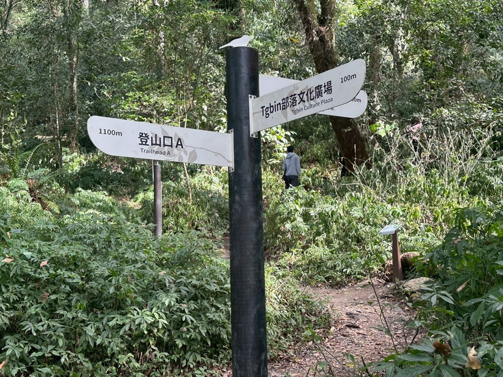 (雪山坑登山步道,O型步道,O型環狀步道,健行,台中和平區,台中景點,台中秘境,和平區景點,山蘇森林,巨人之手,打卡景點,森林秘境,生態步道,石虎吊橋,網美景點,親子同遊,親子步道,輕鬆步道 (雪山坑登山步道,O型步道,O型環狀步道,健行,台中和平區,台中景點,台中秘境,和平區景點,山蘇森林,巨人之手,打卡景點,森林秘境,生態步道,石虎吊橋,網美景點,親子同遊,親子步道,輕鬆步道