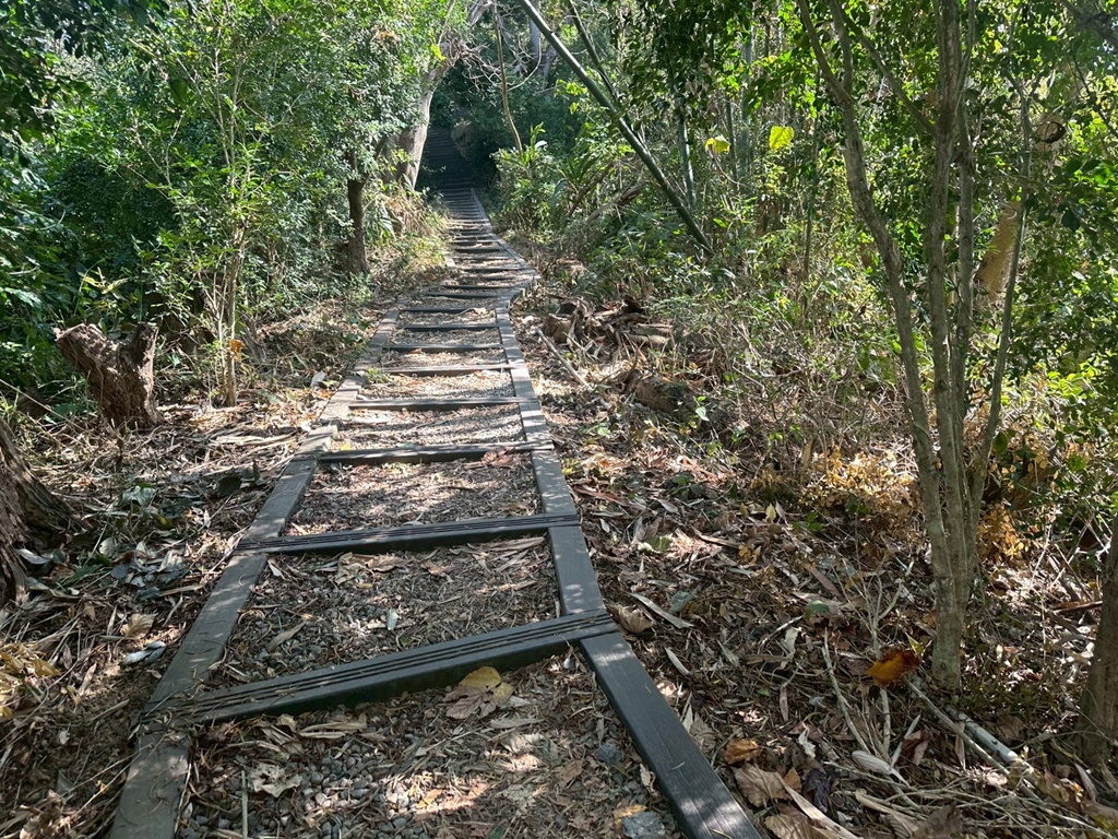 1063階梯,O型環狀,台中戶外景點,台中潭子步道,新田登山步道,橘子試吃,爬山推薦,登山攻略,聚興山小百岳,蟄伏簡餐 1063階梯,O型環狀,台中戶外景點,台中潭子步道,新田登山步道,橘子試吃,爬山推薦,登山攻略,聚興山小百岳,蟄伏簡餐