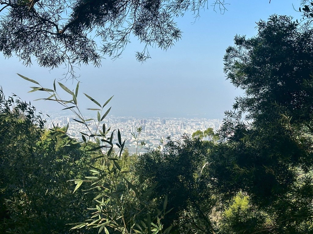 1063階梯,O型環狀,台中戶外景點,台中潭子步道,新田登山步道,橘子試吃,爬山推薦,登山攻略,聚興山小百岳,蟄伏簡餐