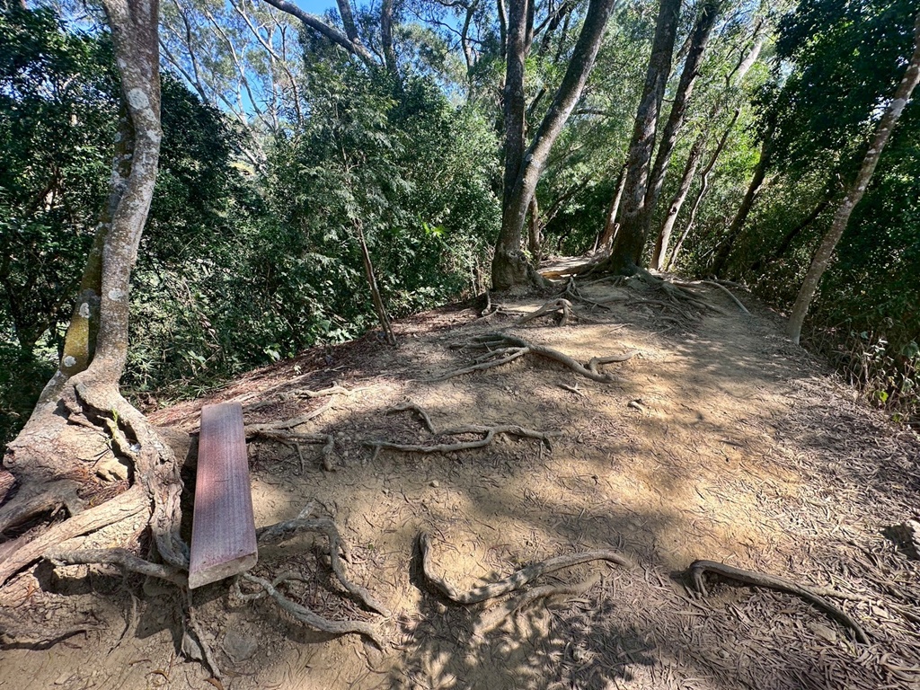 1063階梯,O型環狀,台中戶外景點,台中潭子步道,新田登山步道,橘子試吃,爬山推薦,登山攻略,聚興山小百岳,蟄伏簡餐