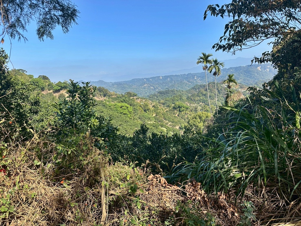 1063階梯,O型環狀,台中戶外景點,台中潭子步道,新田登山步道,橘子試吃,爬山推薦,登山攻略,聚興山小百岳,蟄伏簡餐 1063階梯,O型環狀,台中戶外景點,台中潭子步道,新田登山步道,橘子試吃,爬山推薦,登山攻略,聚興山小百岳,蟄伏簡餐
