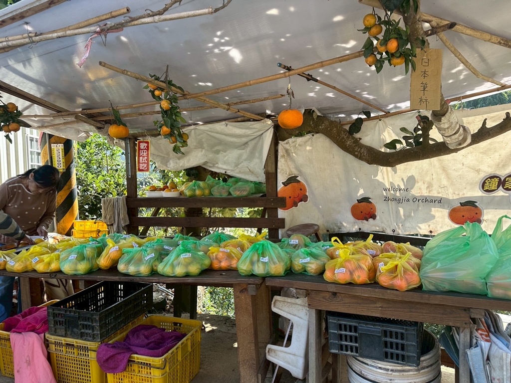 1063階梯,O型環狀,台中戶外景點,台中潭子步道,新田登山步道,橘子試吃,爬山推薦,登山攻略,聚興山小百岳,蟄伏簡餐 1063階梯,O型環狀,台中戶外景點,台中潭子步道,新田登山步道,橘子試吃,爬山推薦,登山攻略,聚興山小百岳,蟄伏簡餐