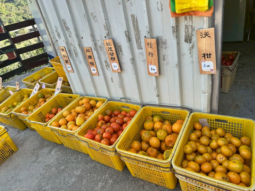 1063階梯,O型環狀,台中戶外景點,台中潭子步道,新田登山步道,橘子試吃,爬山推薦,登山攻略,聚興山小百岳,蟄伏簡餐