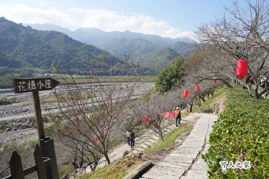 伴手禮,信義鄉美食,免費試吃,南投信義,南投景點推薦,日式氛圍,梅子夢工廠,梅子糖果,網美景點,親子旅遊,觀光工廠,賞梅