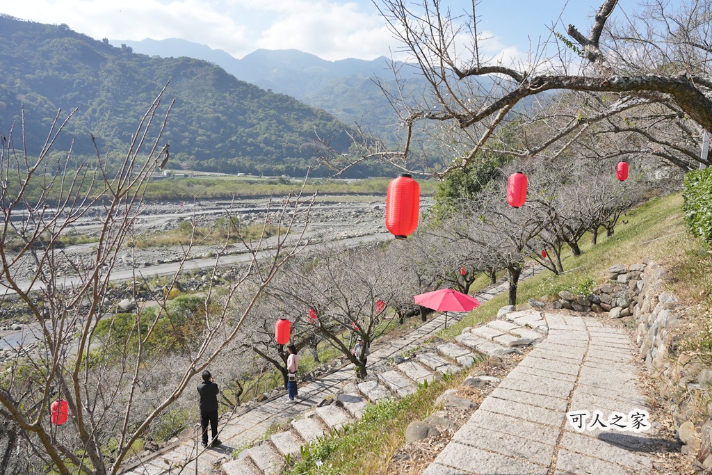 伴手禮,信義鄉美食,免費試吃,南投信義,南投景點推薦,日式氛圍,梅子夢工廠,梅子糖果,網美景點,親子旅遊,觀光工廠,賞梅 伴手禮,信義鄉美食,免費試吃,南投信義,南投景點推薦,日式氛圍,梅子夢工廠,梅子糖果,網美景點,親子旅遊,觀光工廠,賞梅