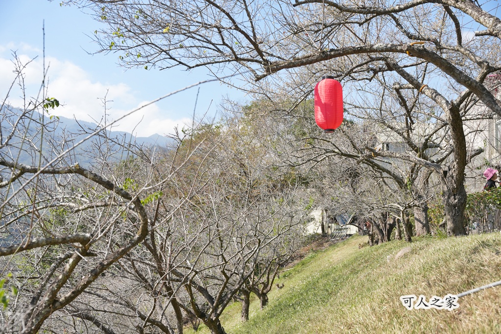 伴手禮,信義鄉美食,免費試吃,南投信義,南投景點推薦,日式氛圍,梅子夢工廠,梅子糖果,網美景點,親子旅遊,觀光工廠,賞梅 伴手禮,信義鄉美食,免費試吃,南投信義,南投景點推薦,日式氛圍,梅子夢工廠,梅子糖果,網美景點,親子旅遊,觀光工廠,賞梅