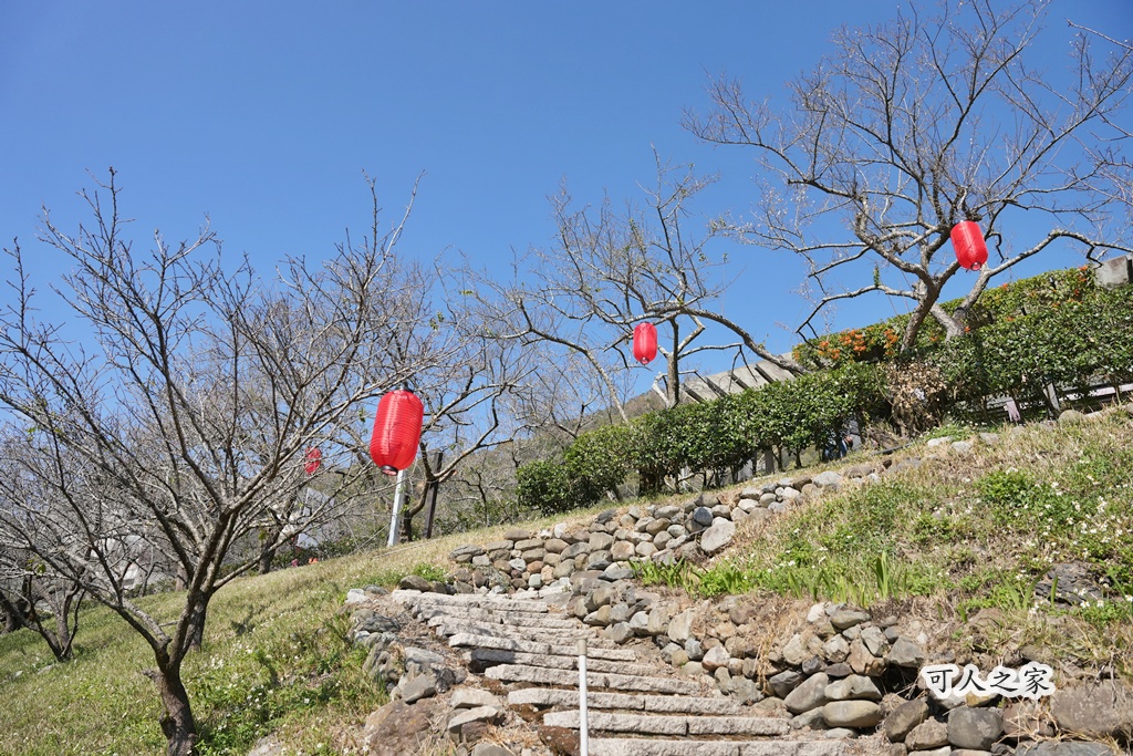 伴手禮,信義鄉美食,免費試吃,南投信義,南投景點推薦,日式氛圍,梅子夢工廠,梅子糖果,網美景點,親子旅遊,觀光工廠,賞梅 伴手禮,信義鄉美食,免費試吃,南投信義,南投景點推薦,日式氛圍,梅子夢工廠,梅子糖果,網美景點,親子旅遊,觀光工廠,賞梅