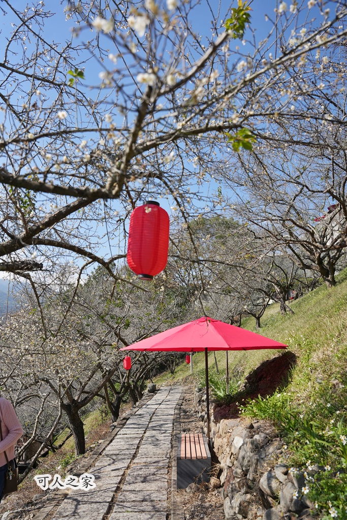伴手禮,信義鄉美食,免費試吃,南投信義,南投景點推薦,日式氛圍,梅子夢工廠,梅子糖果,網美景點,親子旅遊,觀光工廠,賞梅