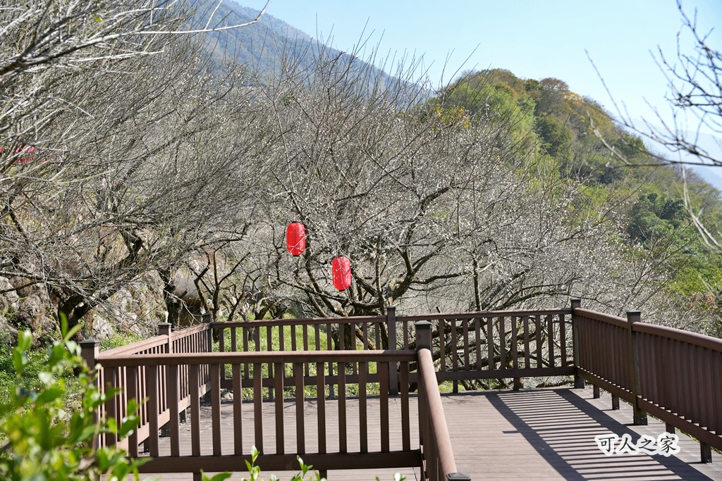 伴手禮,信義鄉美食,免費試吃,南投信義,南投景點推薦,日式氛圍,梅子夢工廠,梅子糖果,網美景點,親子旅遊,觀光工廠,賞梅