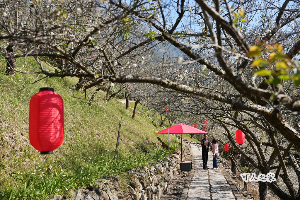 延伸閱讀：南投信義【梅子夢工廠】日式氛圍悠閒靜謐小徑，數十種梅糖試吃到「甘願」！