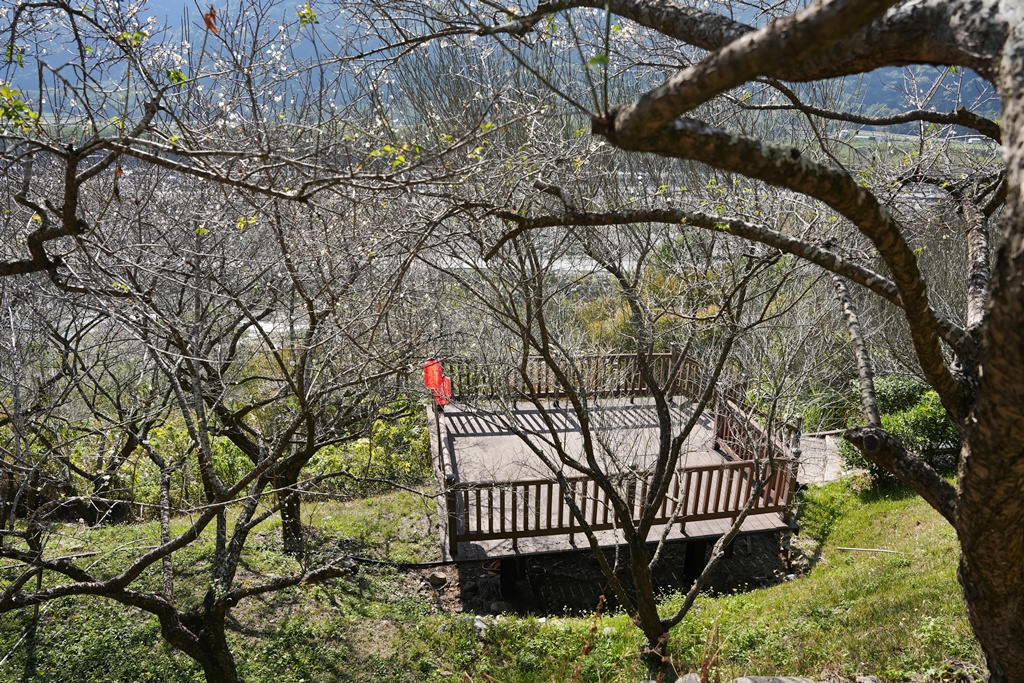 伴手禮,信義鄉美食,免費試吃,南投信義,南投景點推薦,日式氛圍,梅子夢工廠,梅子糖果,網美景點,親子旅遊,觀光工廠,賞梅