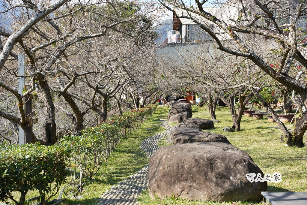 伴手禮,信義鄉美食,免費試吃,南投信義,南投景點推薦,日式氛圍,梅子夢工廠,梅子糖果,網美景點,親子旅遊,觀光工廠,賞梅