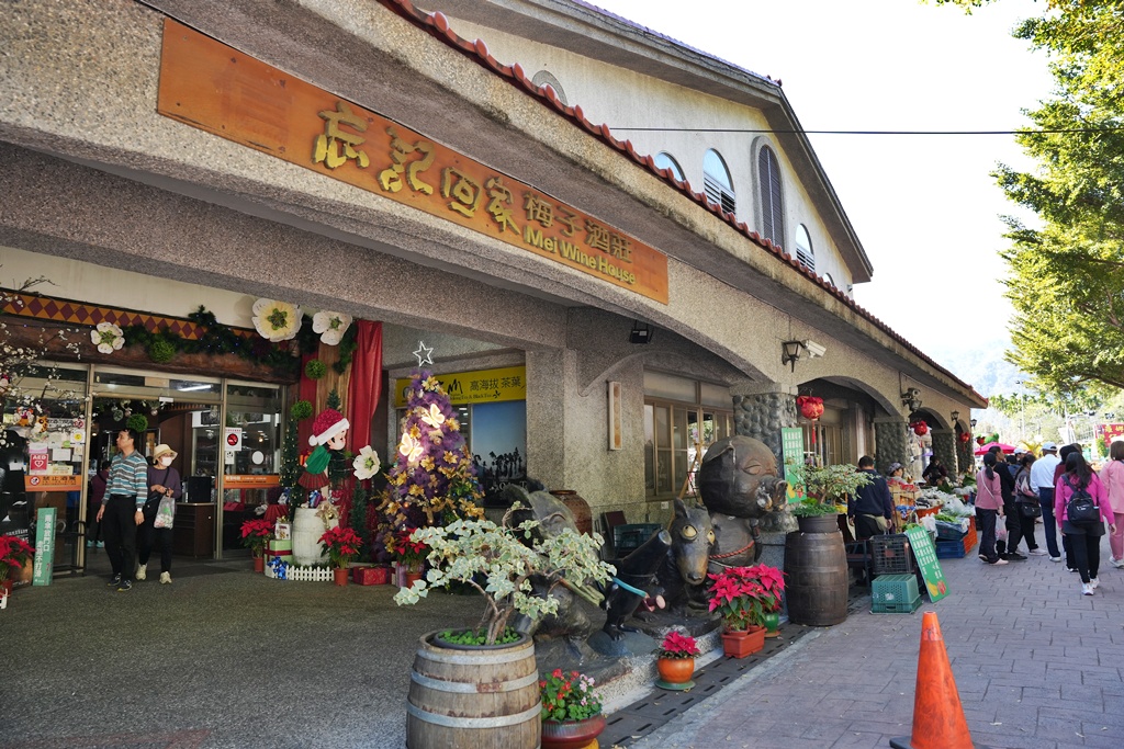 伴手禮,信義鄉美食,免費試吃,南投信義,南投景點推薦,日式氛圍,梅子夢工廠,梅子糖果,網美景點,親子旅遊,觀光工廠,賞梅